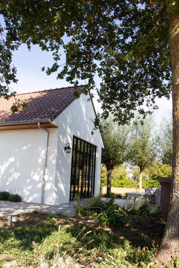 Madelette B&B Moorslede 外观 照片